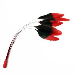 www.houseofadorn.com - Feather Stripped Coque Bunch of 6 - Black w Dyed Tips - Red