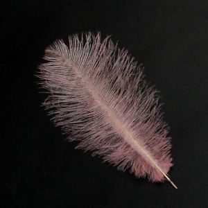www.houseofadorn.com - Feather Ostrich Plume 30-40cm - Dusty Pink