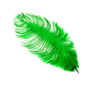 www.houseofadorn.com - Feather Ostrich Plume 30-40cm - Emerald Green