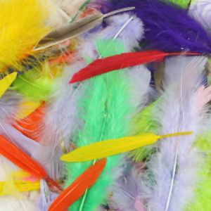 www.houseofadorn.com - Feather Craft Pack - Assorted Feathers 10gm