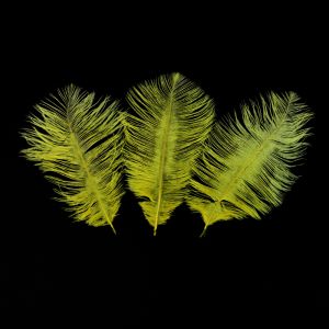 www.houseofadorn.com - Feather Ostrich Plume 15-20cm (Pack of 3) - Yellow