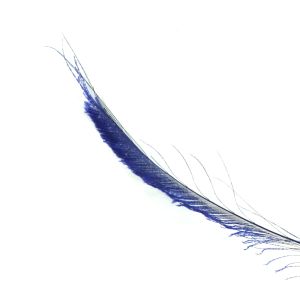 www.houseofadorn.com - Feather Peacock Sword (40-50cm) - Dyed Colours (Pack of 3) - Blue