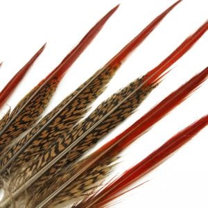 www.houseofadorn.com - Feather Pheasant Golden Tail w Natural Red Tips (Pack of 3)