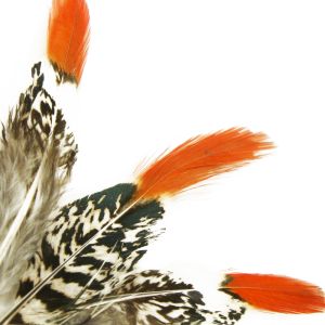 www.houseofadorn.com - Feather Pheasant Lady Amherst w Natural Red Tips (Pack of 3) - 10-15cm
