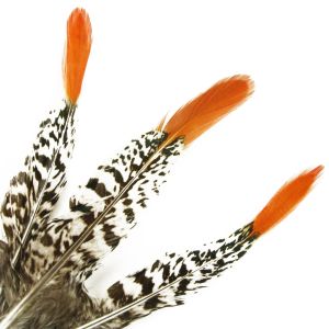 www.houseofadorn.com - Feather Pheasant Lady Amherst w Natural Red Tips (Pack of 3) - 15-20cm