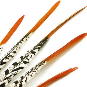 www.houseofadorn.com - Feather Pheasant Lady Amherst w Natural Red Tips (Pack of 3)
