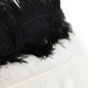 www.houseofadorn.com - Feather Ostrich Plume 70-80cm