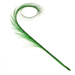 www.houseofadorn.com - Feather Pheasant Burnt & Curled - Emerald