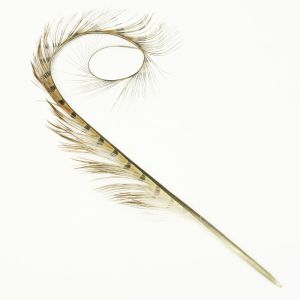 www.houseofadorn.com - Feather Pheasant Burnt & Curled - Natural