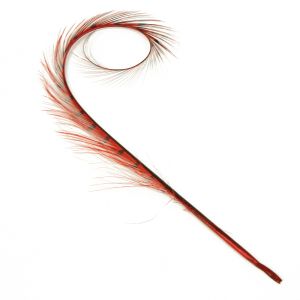 www.houseofadorn.com - Feather Pheasant Burnt & Curled - Red