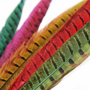 www.houseofadorn.com - Feather Pheasant Tail - Unbleached - Dyed Colours 20-30cm (Pack of 3)