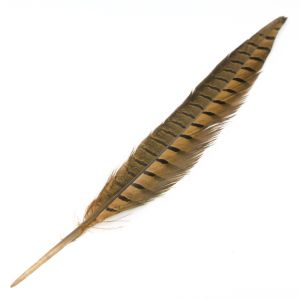 www.houseofadorn.com - Feather Pheasant Tail - Unbleached - Dyed Colours 20-30cm (Pack of 3) - Natural