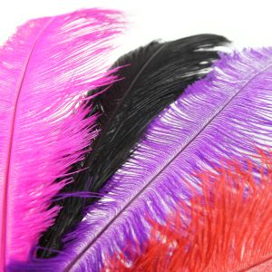 Feather Ostrich Quill Spine Craft Millinery Fly Fishing 
