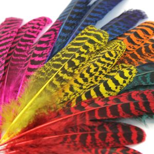 www.houseofadorn.com - Feather Peacock Wing Full Quill 10-20cm (Pack of 10)