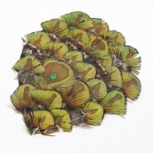 www.houseofadorn.com - Feather Peacock Pad - 11cm - Gold Plumage