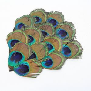 www.houseofadorn.com - Feather Peacock Pad - 11cm - Full Eyes (Trimmed)