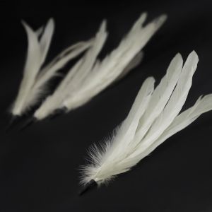 Feathers By Colour - Feathers