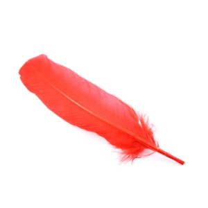www.houseofadorn.com - Feather Turkey Full Quill (Pack of 3) - Red