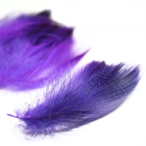 www.houseofadorn.com - Feather Duck Mallard Plumage Loose (Price per 3g) - Purple