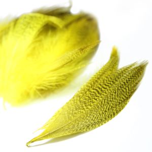 www.houseofadorn.com - Feather Duck Mallard Plumage Loose (Price per 3g) - Yellow