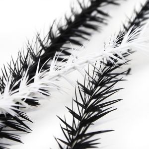 www.houseofadorn.com - Feather Ostrich Quill Spine With Biot (BACK IN STOCK!)