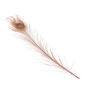 www.houseofadorn.com - Feather Peacock Eye (20-30cm) - Dyed Colours (Pack of 3) - Dusty Pink