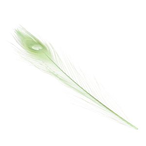 www.houseofadorn.com - Feather Peacock Eye (20-30cm) - Dyed Colours (Pack of 3) - Moss
