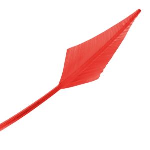 www.houseofadorn.com - Feather Turkey Arrowhead - Red