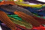 www.houseofadorn.com - Feather Guinea Fowl Quills - Assorted Colours (Pack of 25 feathers)