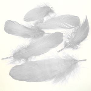 www.houseofadorn.com - Feather Goose Nagoire Hand Selected Loose (Pack of 24) - Silver Grey