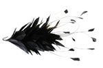 www.houseofadorn.com - Feather Goose & Stripped Coque Mount - Black
