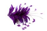 www.houseofadorn.com - Feather Goose & Stripped Coque Mount - Purple