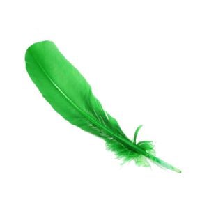www.houseofadorn.com - Feather Turkey Full Quill (Pack of 3) - Emerald Green