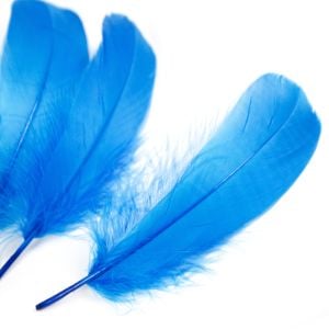www.houseofadorn.com - Feather Goose Nagoire Hand Selected Loose (Pack of 24) - Turquoise